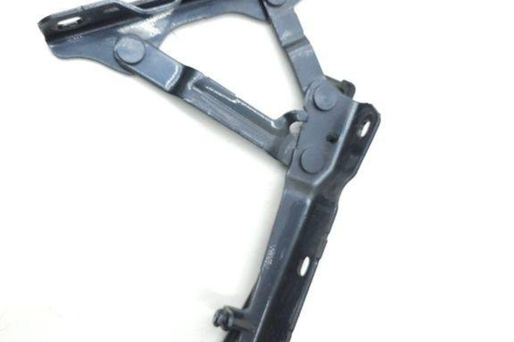 фото №6, Лівий петля капот tesla 600673800e electric 2016