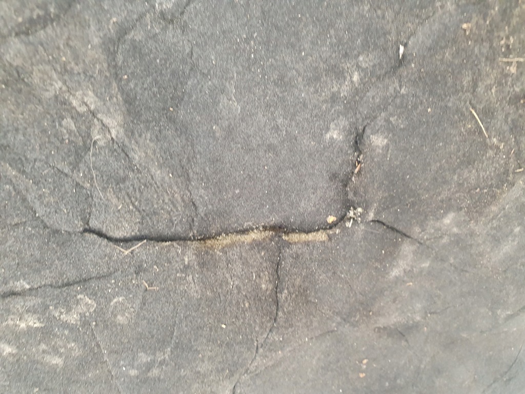 фото №4, Шумоізоляція капот mini r55 r56 r57 lift 7307579