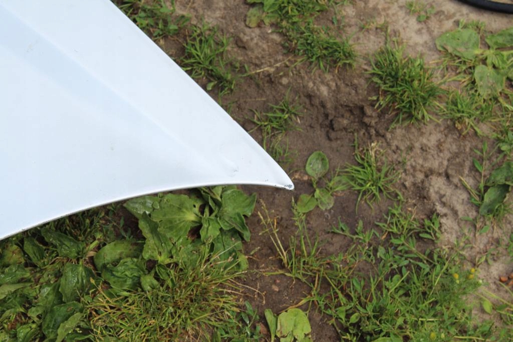 фото №7, Капот крышка двигателя subaru legacy iv lift 06-09