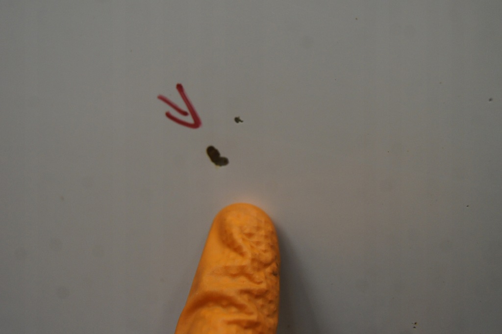 фото №6, Actyon двері ліва задні пошкоджені