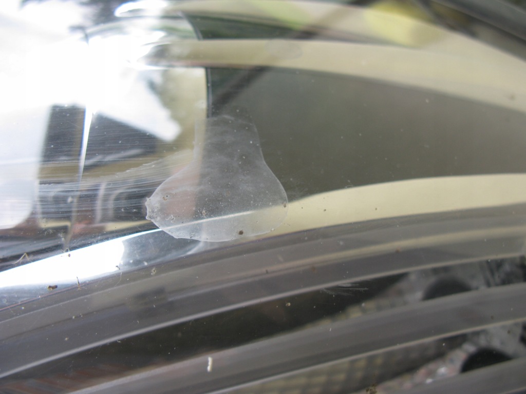 фото №9, Лампа перед права фара renault scenic iii lift 2012-17 260108453r