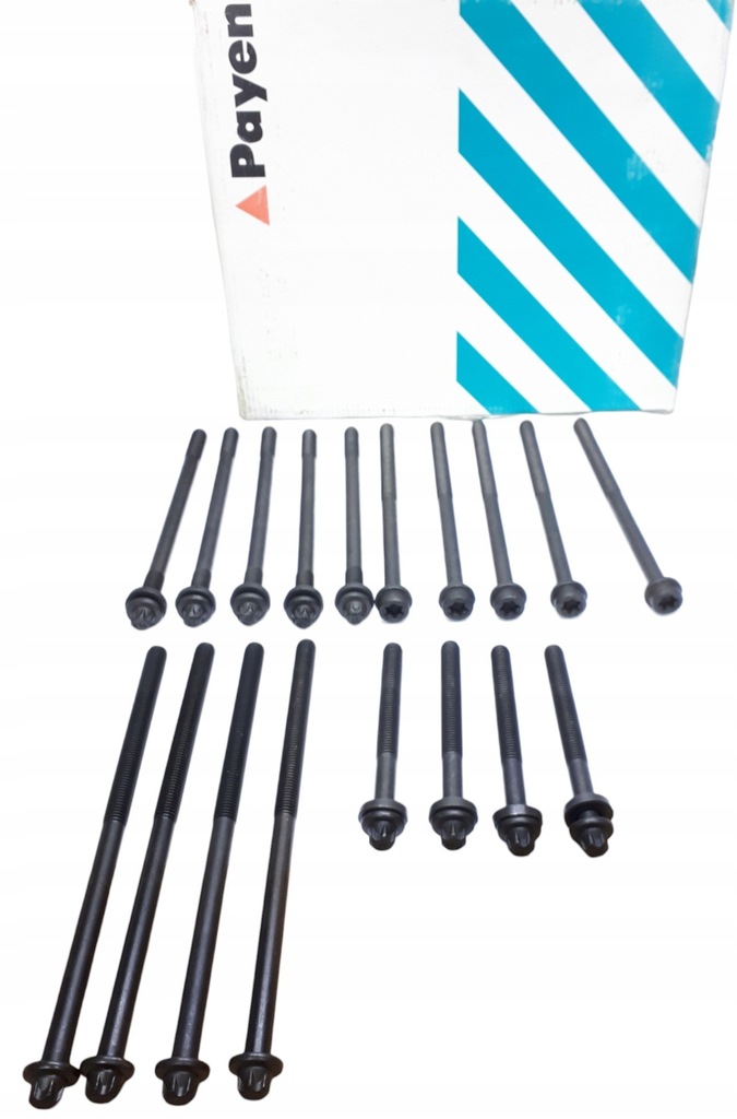 фото №1, Болты головки payen renault espace iii laguna i safrane ii 2.2d