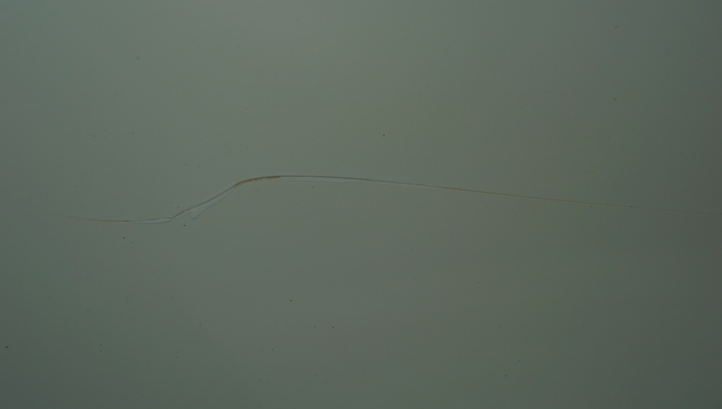 фото №8, Дверь правый задняя nissan juke f15 326g