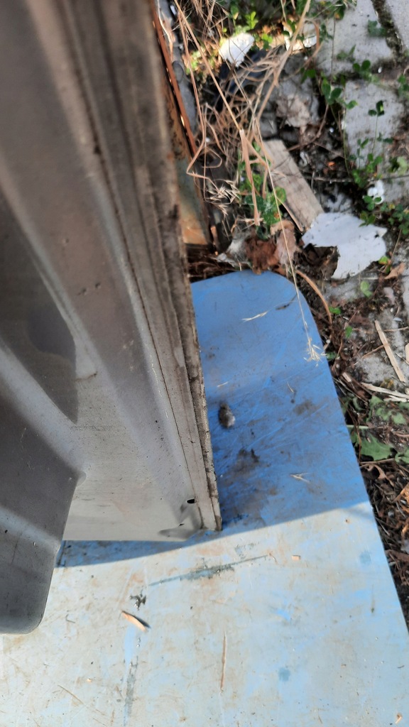 фото №15, Двері перед передні ліва volvo v50 04-12r