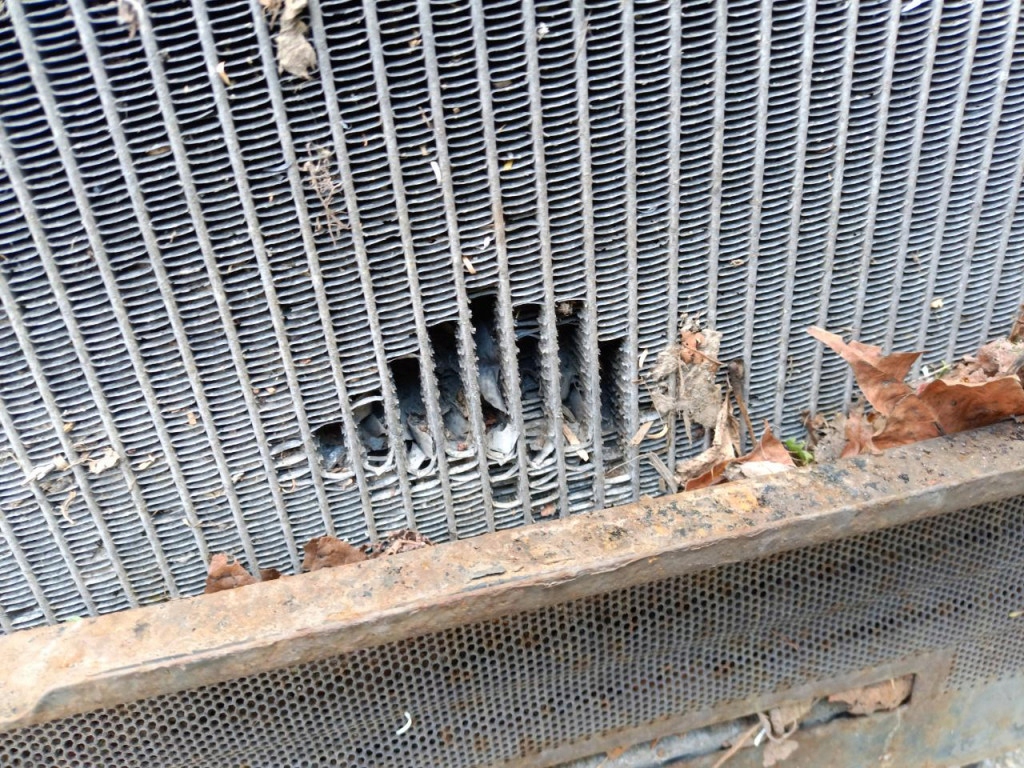 фото №11, Daf xf 460 106 euro радиатор wody 1940146