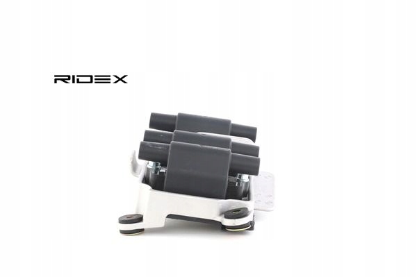 фото №11, Ridex 689c0042 катушка зажигания do vw passat variant 3b6 passat 3b3