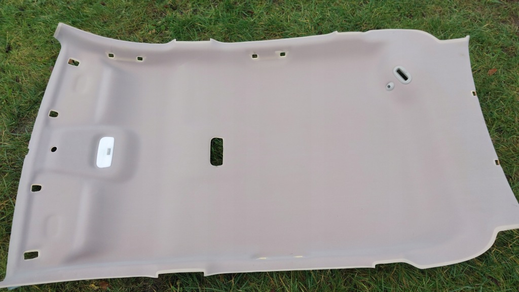 Купити Стеля renault scenic 3 739107985