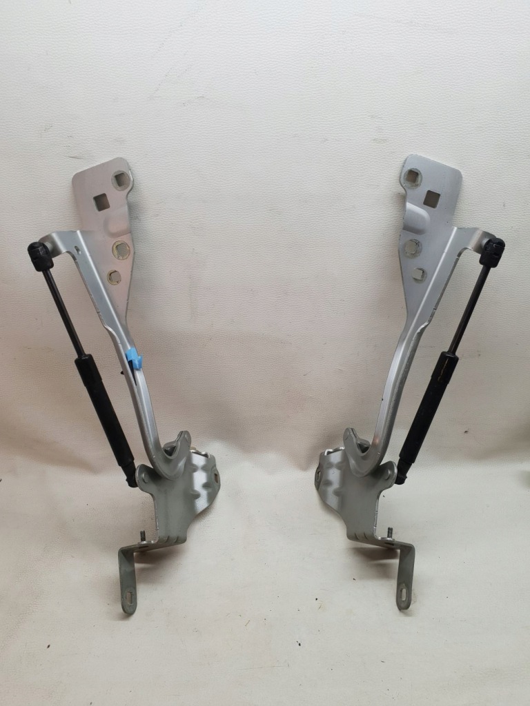 фото №1, Renault scenic iii 09- петлі капот правий лівий