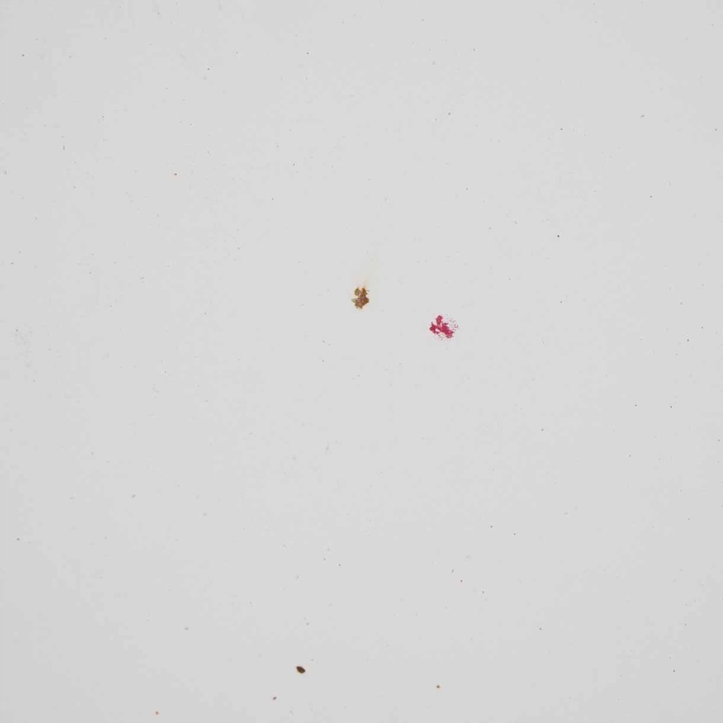 фото №13, Mercedes vito w639 капот двигателя arctic white 9147