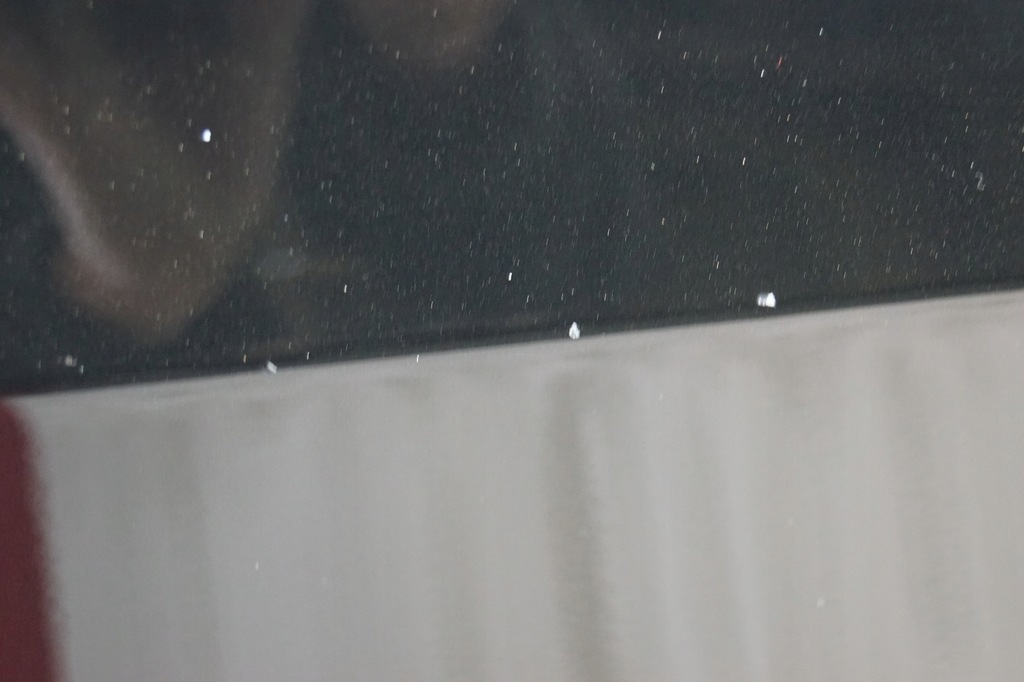 фото №15, Двері лівий перед bmw x5 e70