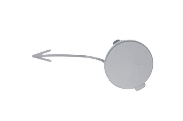 фото №1, Заглушка бампера фаркоп 5513-00-9534920q blic