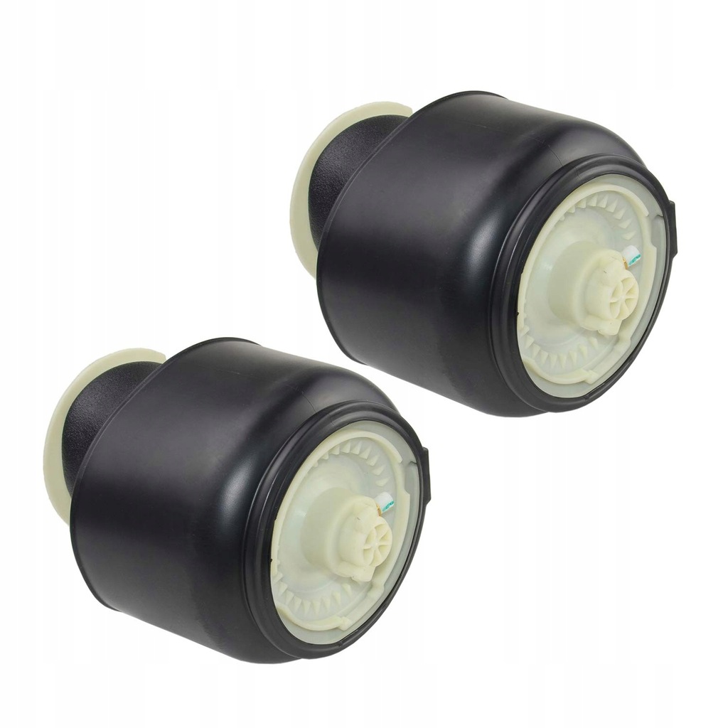 фото №1, Задні ресори пневматичний