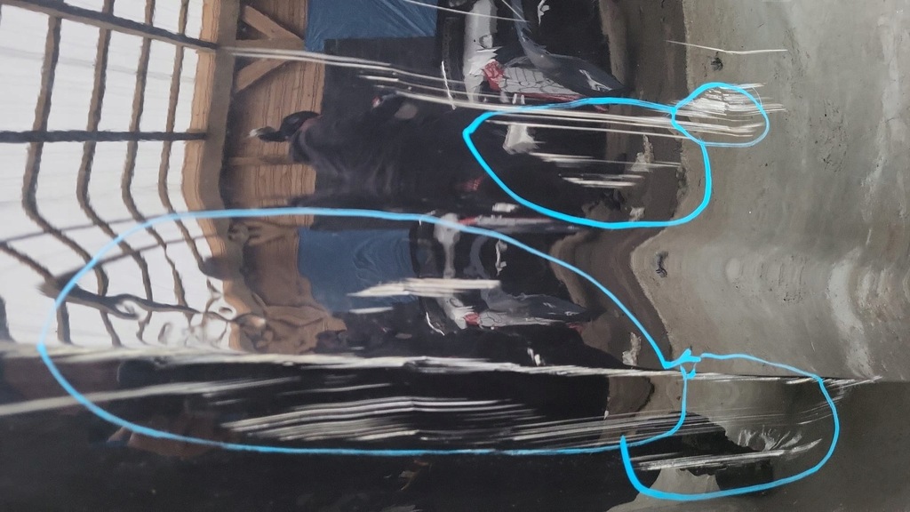 фото №13, Vw passat b7 2011-2015 дверь правое задняя задние 561833312e usa