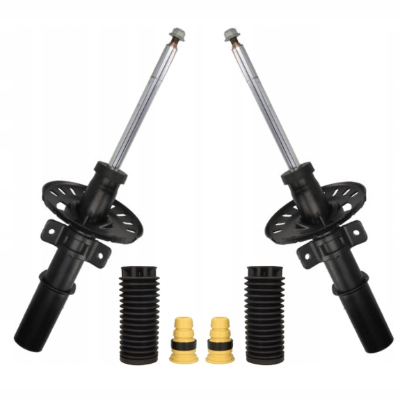 Купити Амортизатори перед захист peugeot 308 2 2013-