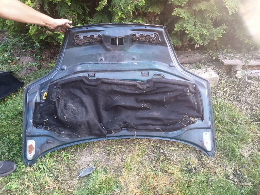 фото №6, Капот renault scenic i lift 4x4