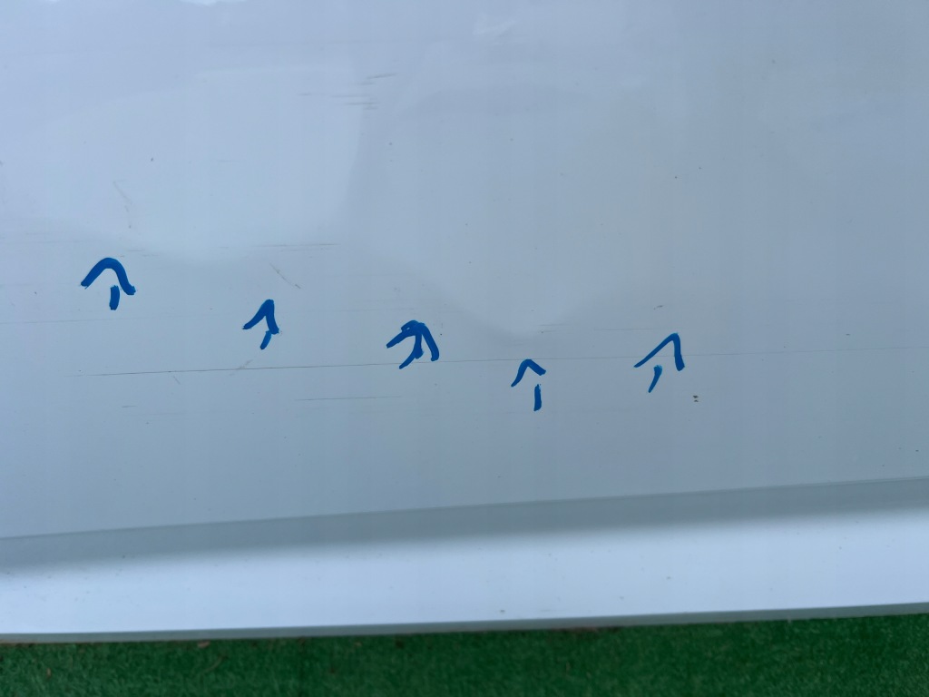 фото №9, Audi a5 ii 8w8 sportback 16-24 двері ліва передні лівий перед