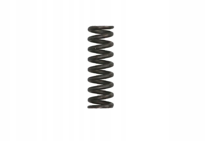 Купити 0732.042.728 element коробки передач, пружина притискна zf