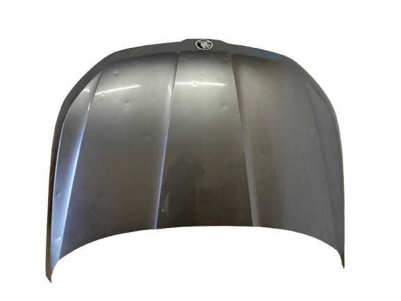 фото №1, Skoda kodiaq капот orgi.