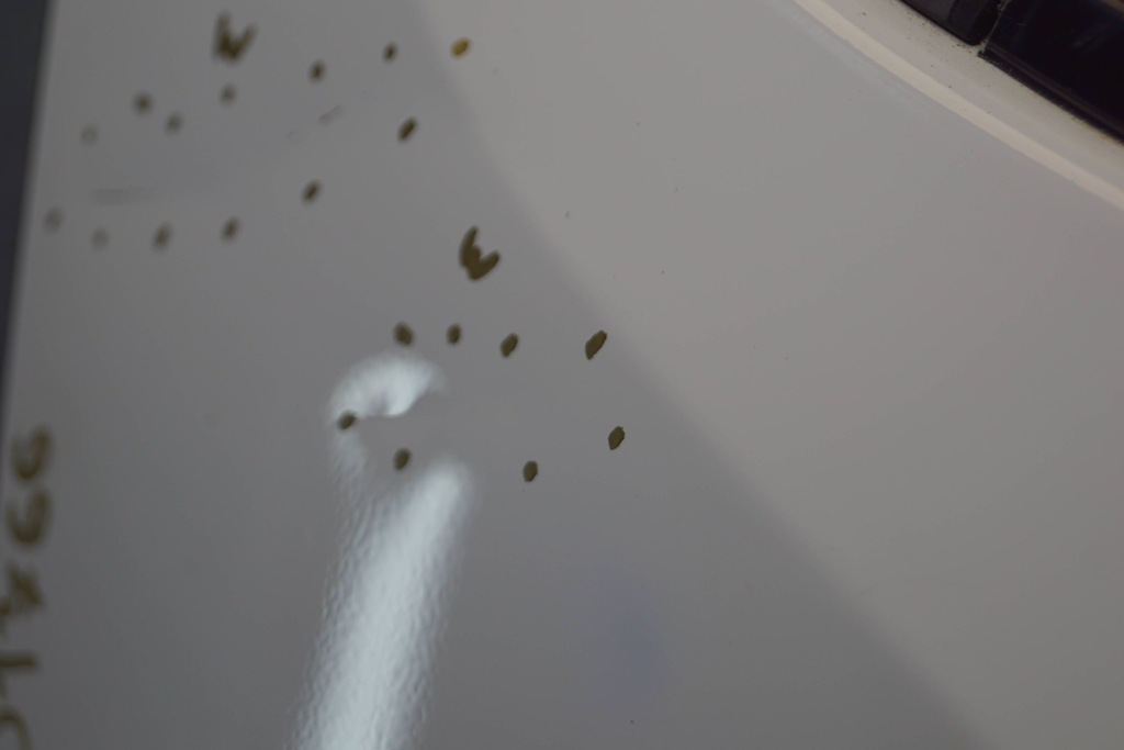 фото №13, Nissan nv200 дверь правый перед d1766