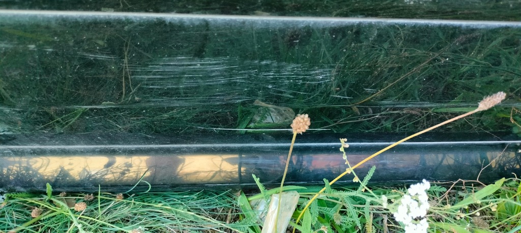 фото №9, Дверь правый перед передние kompletny audi a8 d3 eu