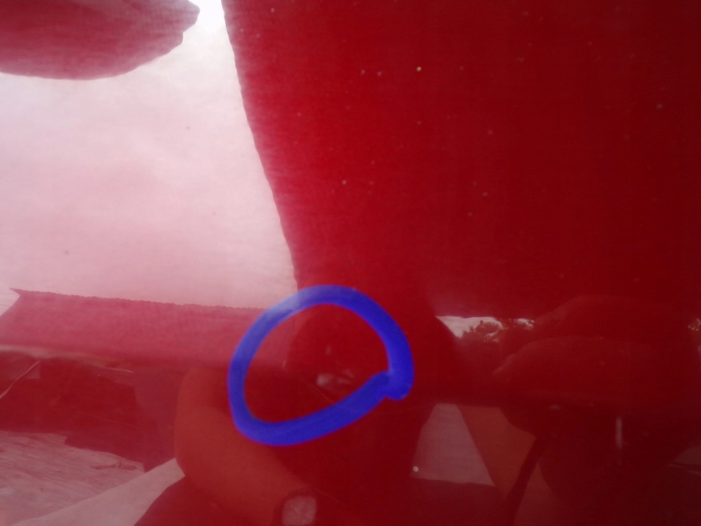 фото №10, Двері ліва передні renault laguna iii 3 fv org