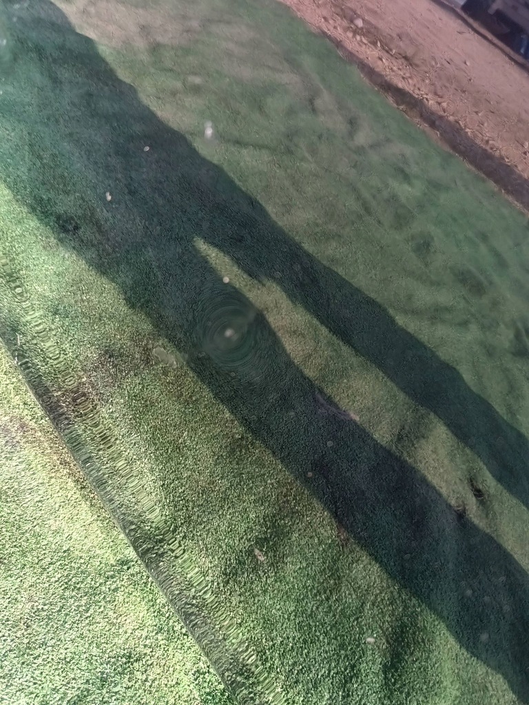 фото №6, Opel insignia a двері ліва передні перед