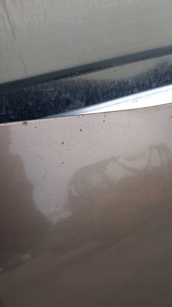 фото №9, Капот toyota avensis t25 4q9