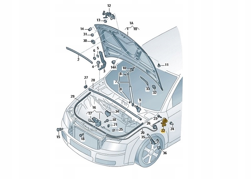 фото №9, Кронштейн ручка відкривання капот audi a4 seat exeo оригінальний номер