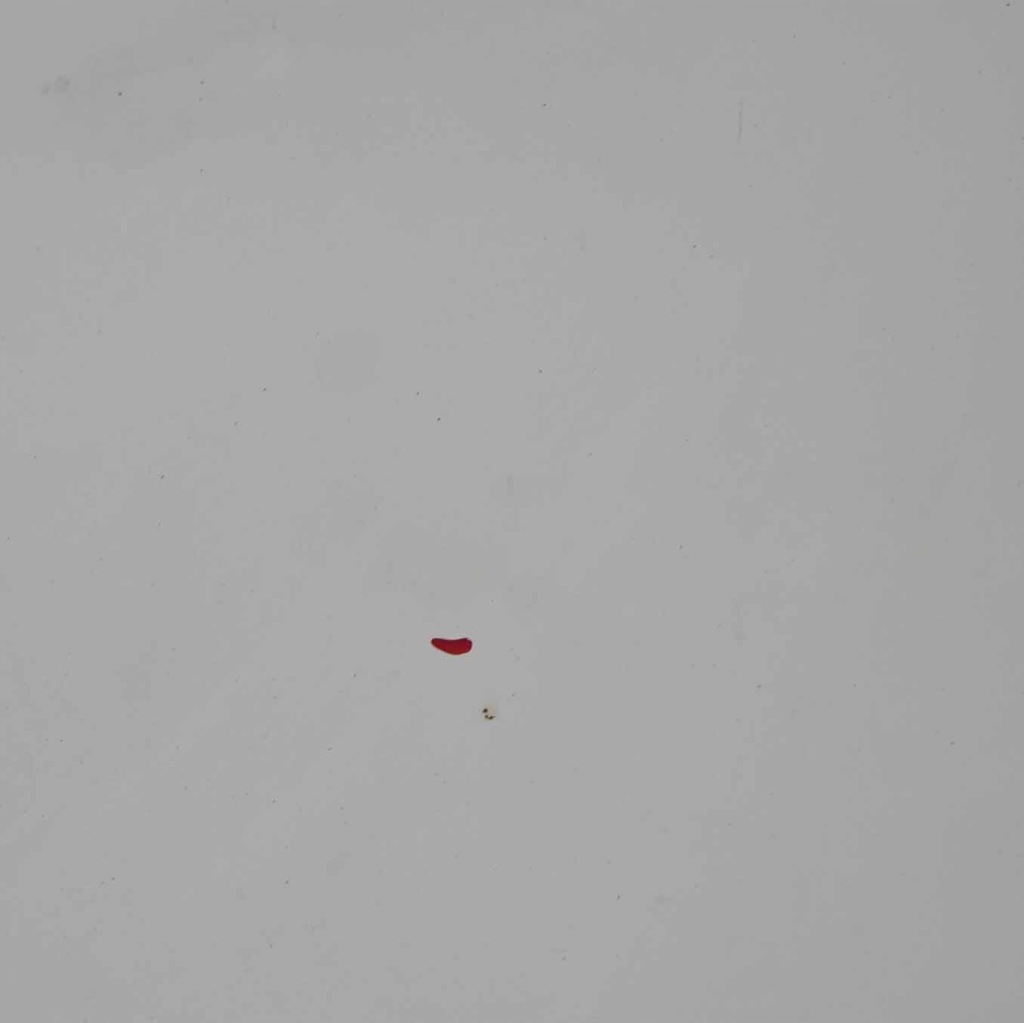 Ford transit капот крышка двигателя frozen white z2 Доставка