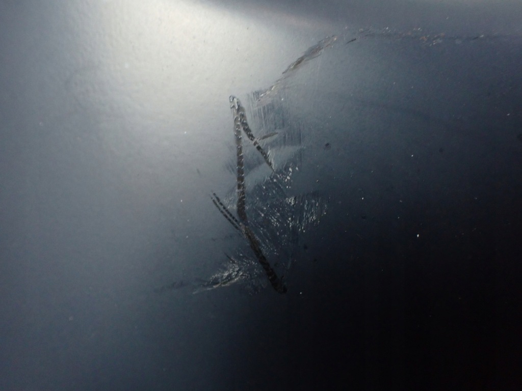 фото №10, Бампер передній nissan juke hf-ds11105-m02 9294