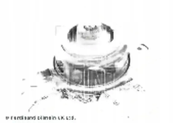 фото №1, Подушка двигателя adbp800041 blue print