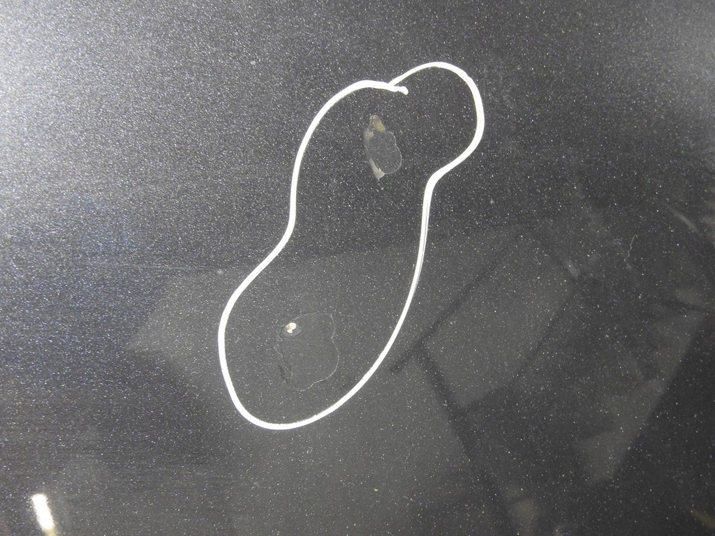 фото №5, Honda fr-v 04-09 nh684p капот кришка двигуна