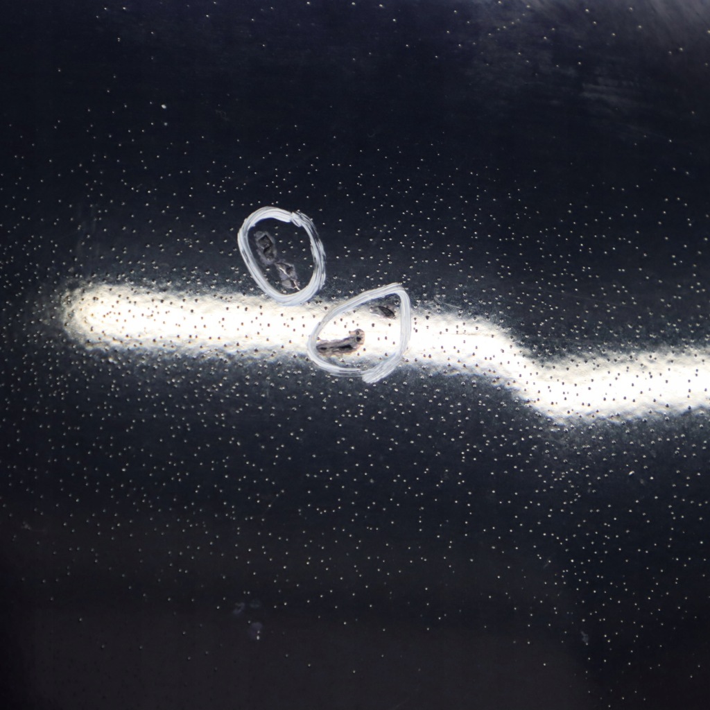 Bmw x5 e70 капот крышка двигателя monacoblau niebieski металлик - a35 Цена