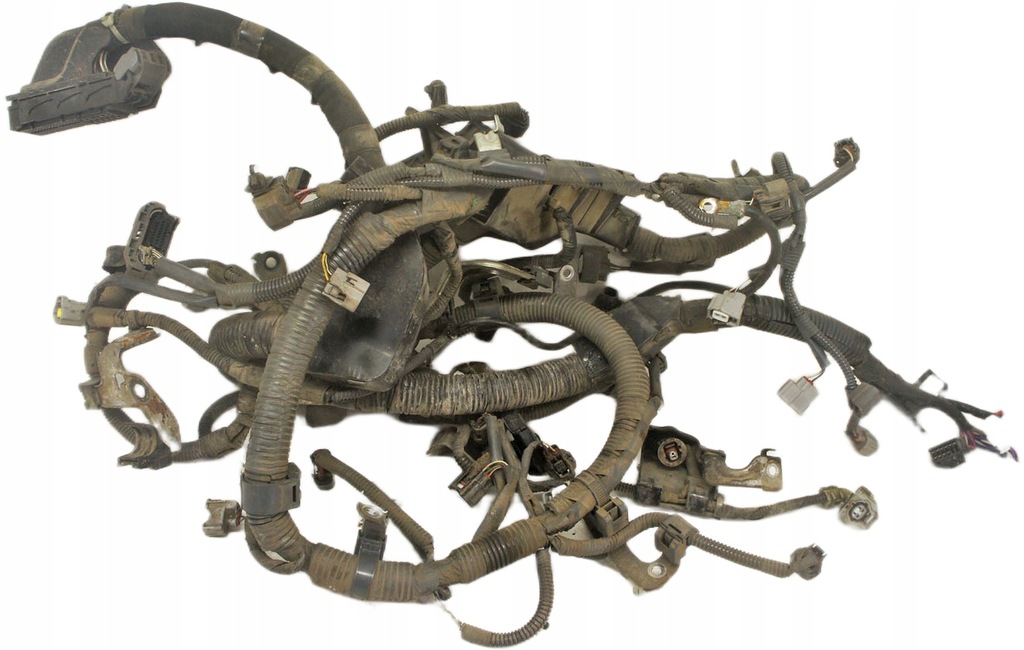 фото №1, Tv407 lexus rx iii 3.5i джгут двигуна