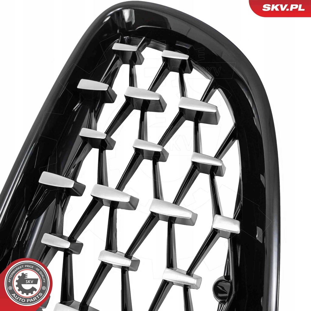 фото №10, Решітка радіатора радіатора bmw z4 roadster e89 sdrive 20 i 09.11-08.16