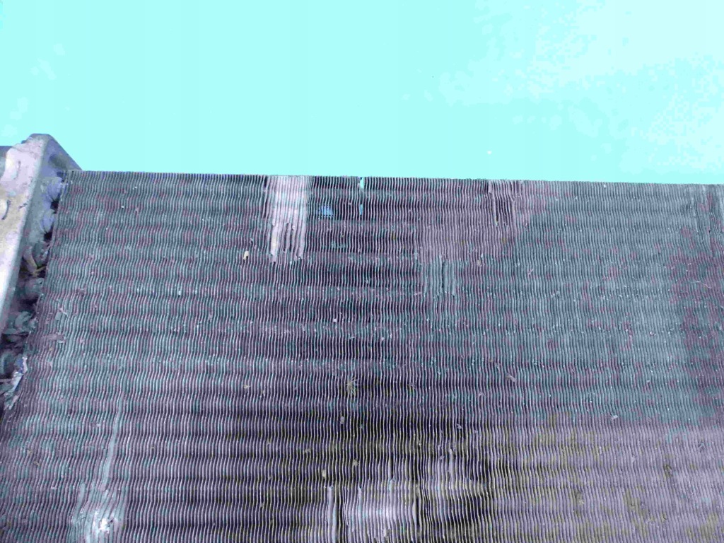 Радіатор води рідина renault laguna 2 2 1.6 16v Доставка