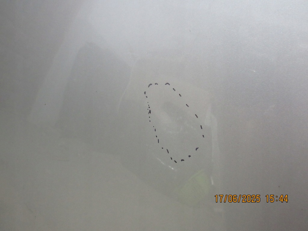 фото №7, Капот шумоизоляция avensis t25 1c0