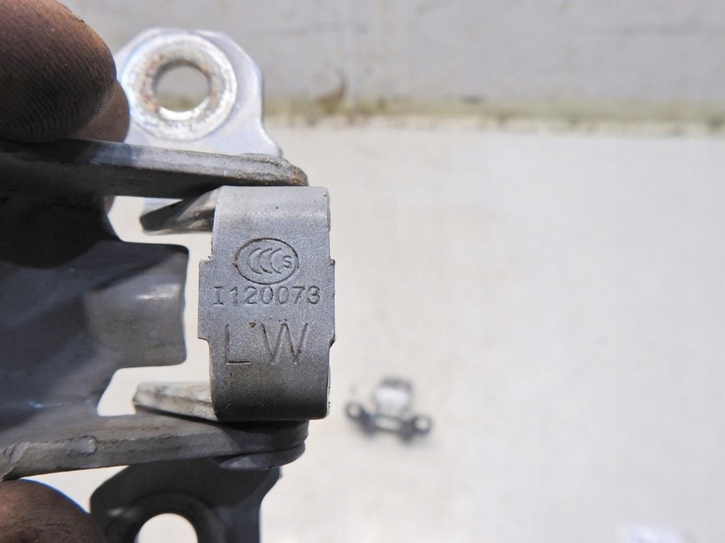 фото №6, Петля петлі двері правий перед teqxa renault latitude i120073