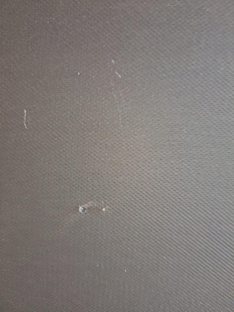 фото №9, Панорама audi a4 b9 kombi 8w9877041b