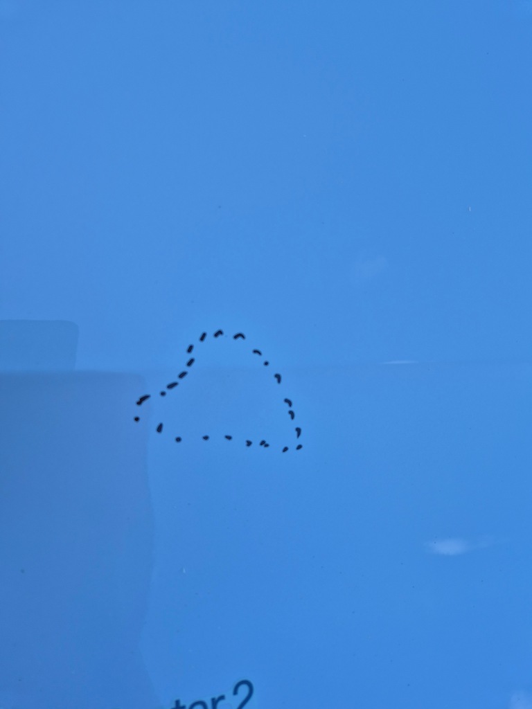 фото №5, Polestar ii 20r . двері ліва передні перед. d009