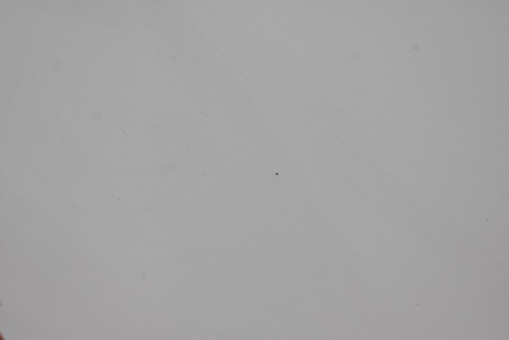 фото №8, Двері бічний зсувні праве білий opel combo e 18-21