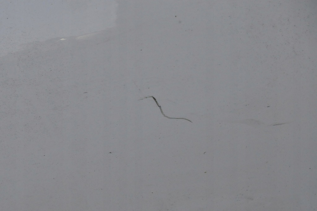 фото №6, Alfa romeo mito дверь правый перед передние