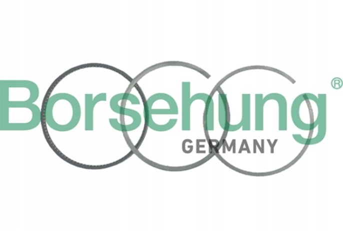 фото №1, Borsehung b19046 набір кілець поршня