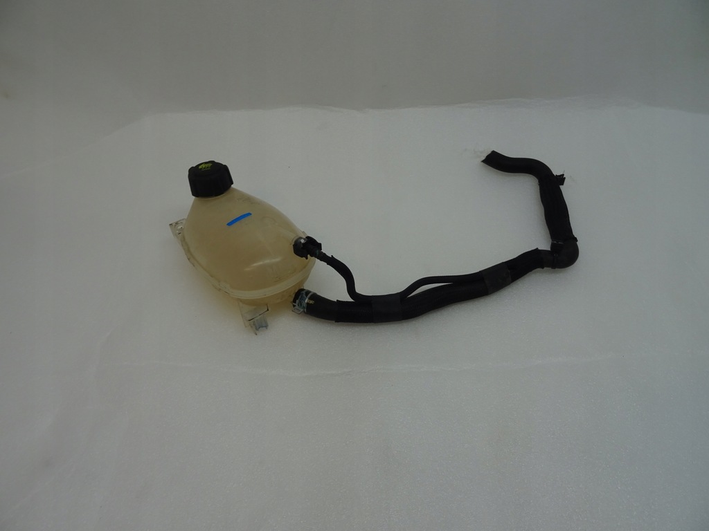 фото №9, Renault captur nissan juke ii бачок розширювальний 217102572r