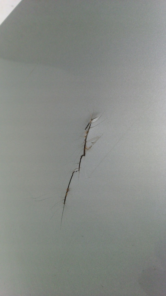 фото №15, Opel astra k 5 бампер перед передний pdc