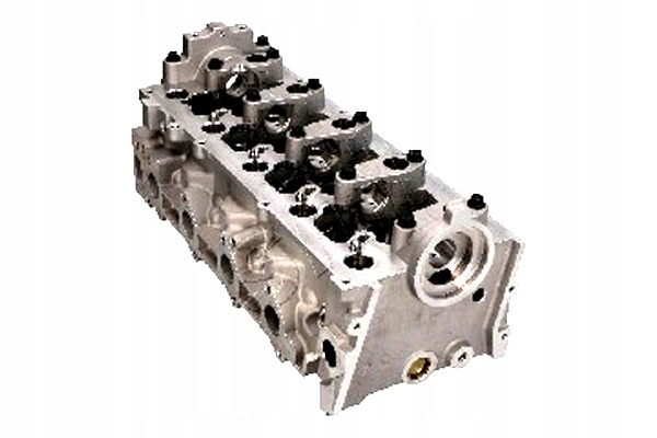 фото №10, Ashika головка