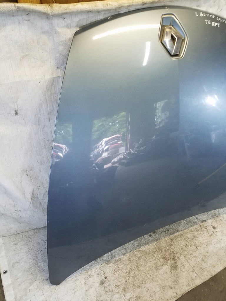 фото №6, Капот renault laguna iii coupe kod terny