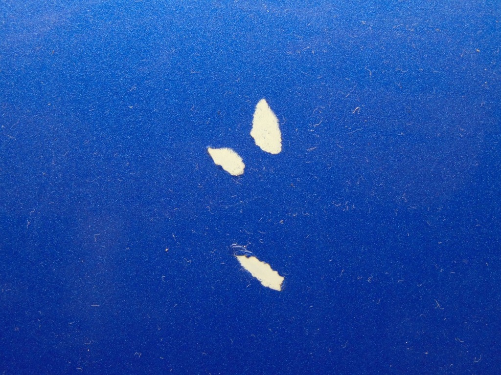 фото №4, Двері праве правий перед mini cooper r56 s a59