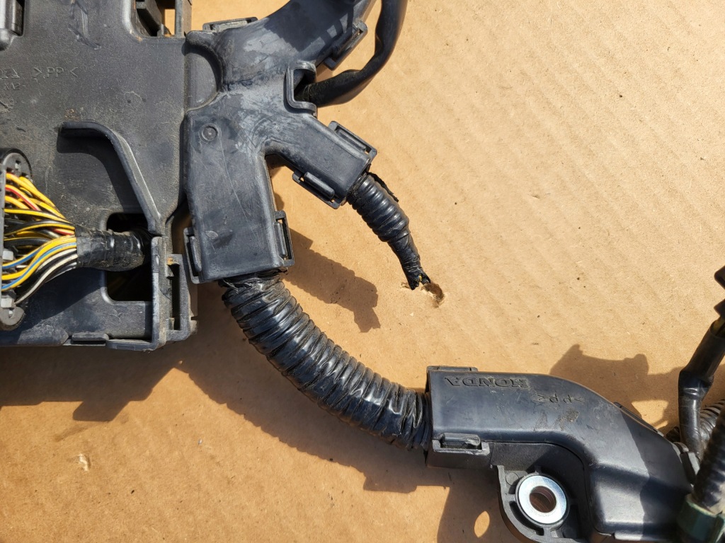 фото №15, Жгут электропроводка двигателя honda accord viii 2.0b civic 8 ufo 1.8 b. оригинальный номер eu