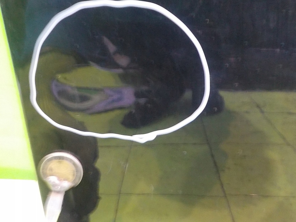 фото №6, Ford focus mk3 11r hb 5d дверь правое перед